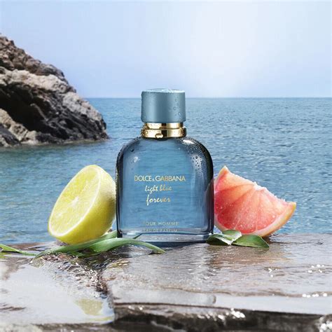 dolce gabbana homme light blue|light blue pour homme fragrantica.